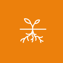 تدهور الأراضى