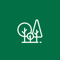 الإدارة المستدامة للغابات