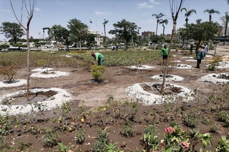 القاهرة خضراء.. مشروعات رائدة لتجميل شوارع العاصمة وتحسين حياة السكان