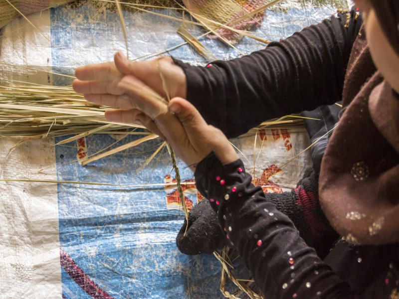 نموذج أولي معياري لتحويل النفايات الصلبة المحلية إلى إيثانول لاستبدال الرصاص في البنزين (EG-PP-15)